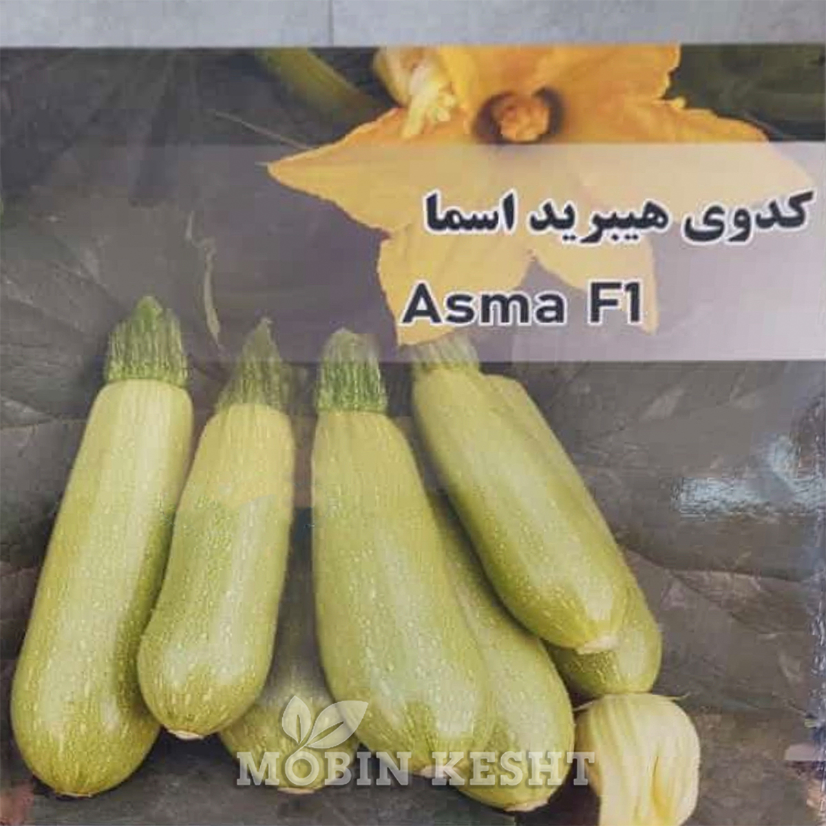 بذر کدو اسما کلوز - مبین کشت