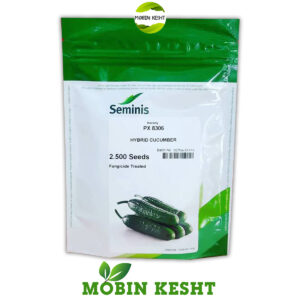 بذر خیار 8306