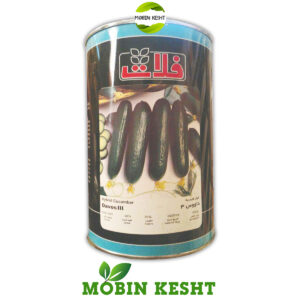 بذر خیار داووس 3
