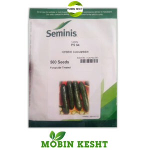 بذر خیار گلخانه ای پی اس 64