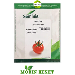 بذر گوجه گلخانه ای 7806