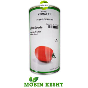 بذر گوجه کیش مات