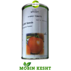 بذر گوجه اسپیدی