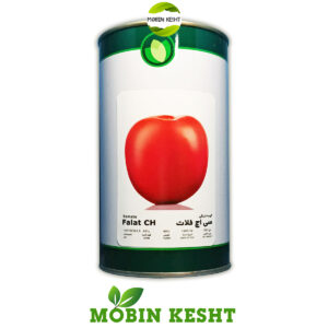 بذر گوجه سی اچ فلات