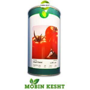 بذر گوجه شف فلات