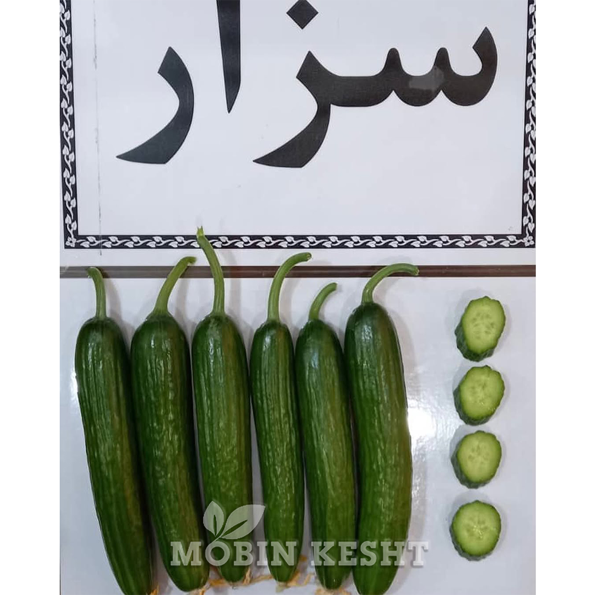 خیار سزار