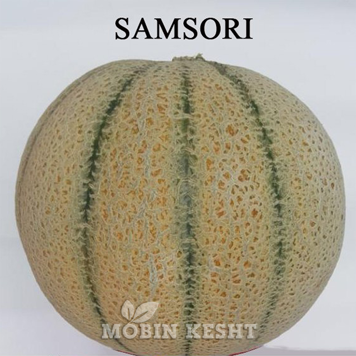 سمسوری هد