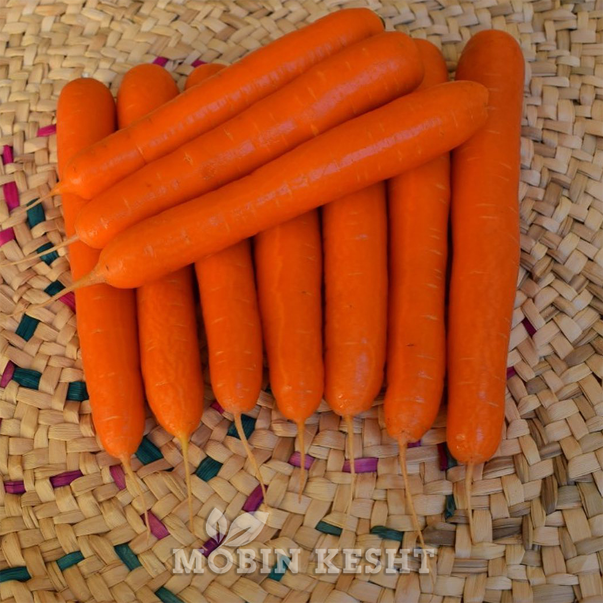 هویج رومانس