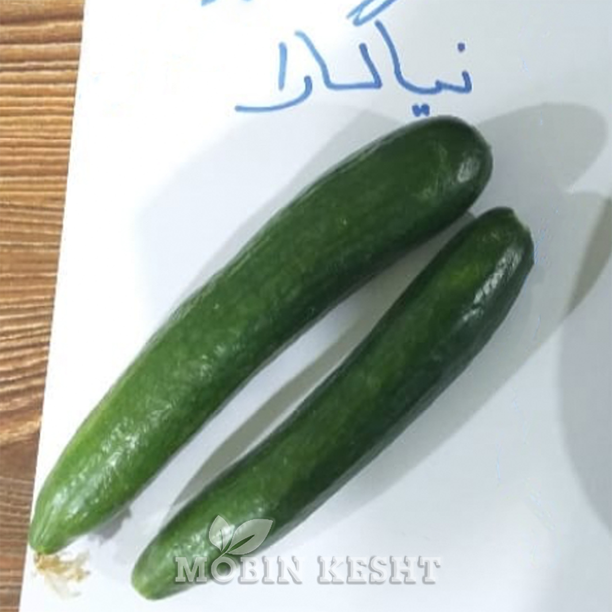 خیار دانوب نیاگارا
