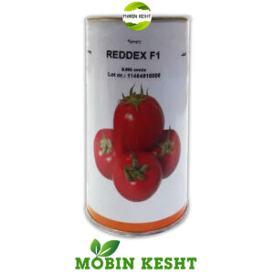 بذر گوجه ردکس نانهمز