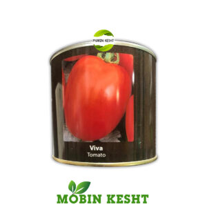 بذر گوجه ویوا کانیون