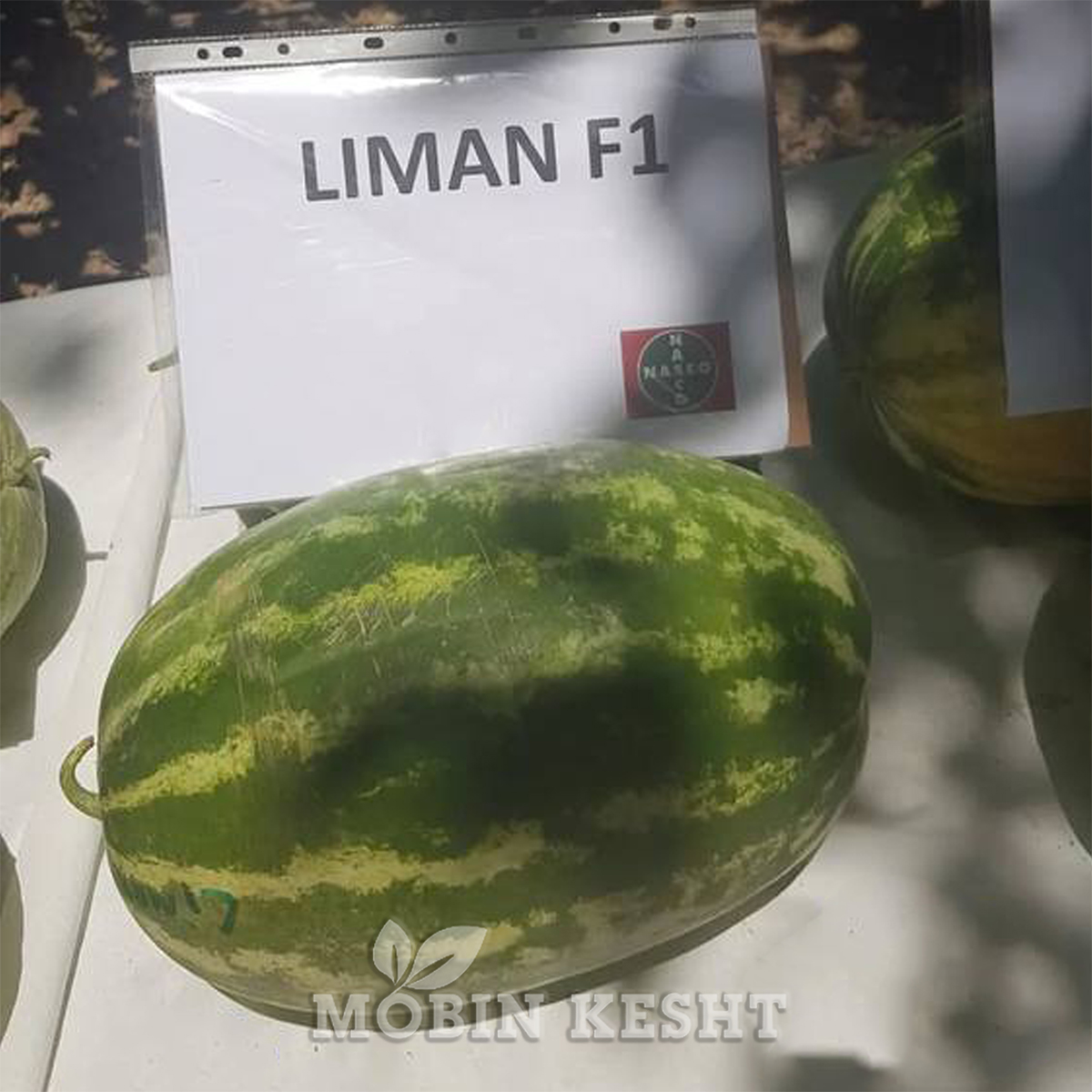 عکس هندوانه لیمان