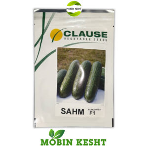 بذر خیار گلخانه ای سهم کلوز