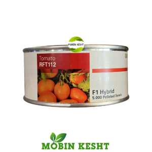 بذر گوجه آر اف تی 112