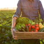 خرید بذر فضای باز