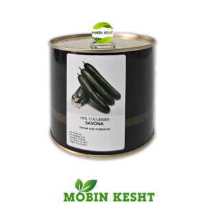 بذر خیار ساوانا کانیون