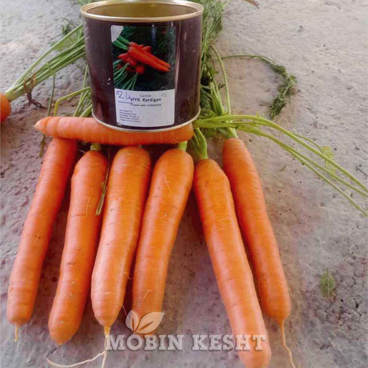 عکس هویج کاردیگان کانیون