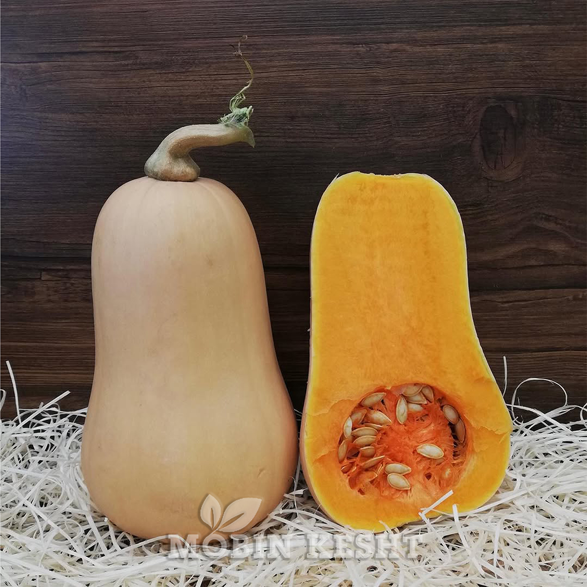 کدو راشل گرین دیاموند