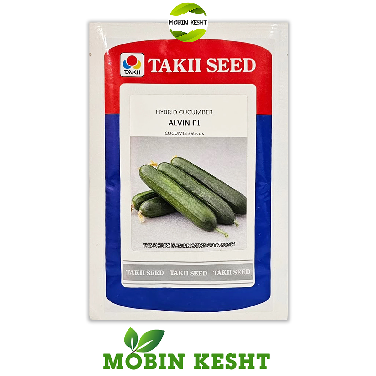 بذر خیار آلوین