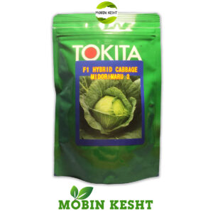بذر کلم میدوری مارو