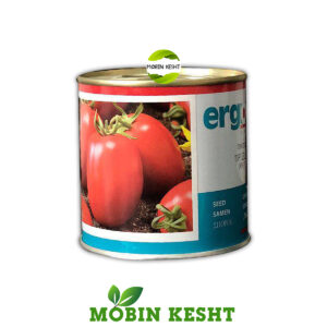بذر گوجه 9090