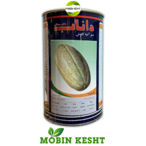 بذر خربزه قصری داناب