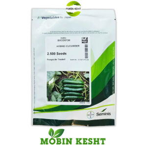 بذر خیار 5134