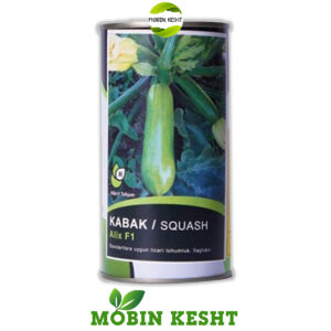 بذر کدو خورشتی آلیکس کی سی