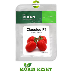 بذر گوجه کلاسیکو