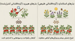 عکس تفاوت بذر هیبرید و استاندارد