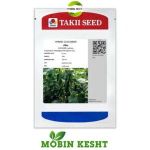 بذر خیار آلبا تاکی
