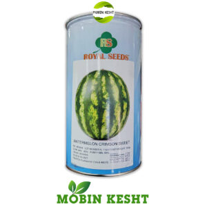 بذر هندوانه خطی رویال
