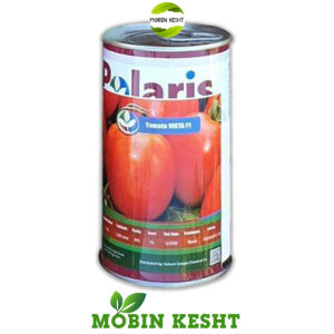 بذر گوجه ویستا