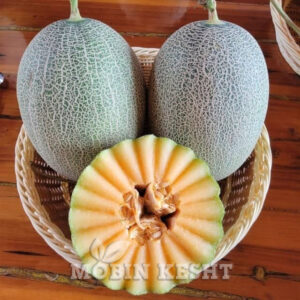 عکس خربزه سوسکی یا گرمساری